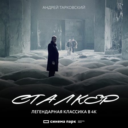1000х1000_Сталкер
